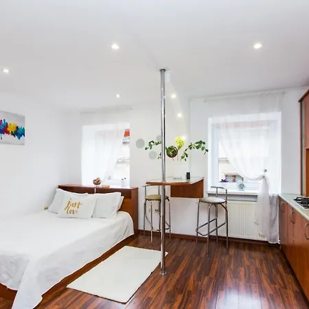 Ruska 12 Apartamento Lviv